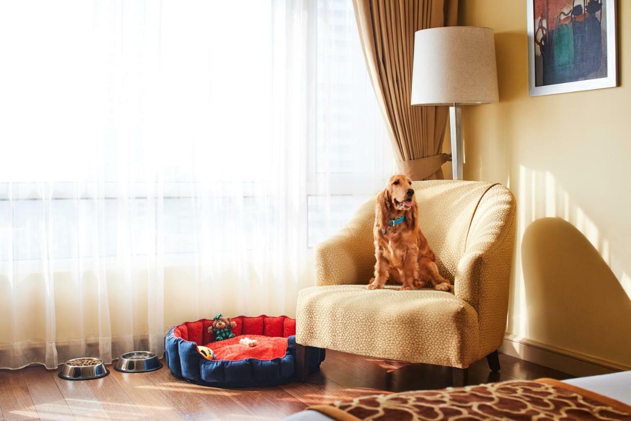 فندق بريزيدنت - آي إتش سي إل سيليكشنز مومباي المظهر الخارجي الصورة A dog in a hotel room